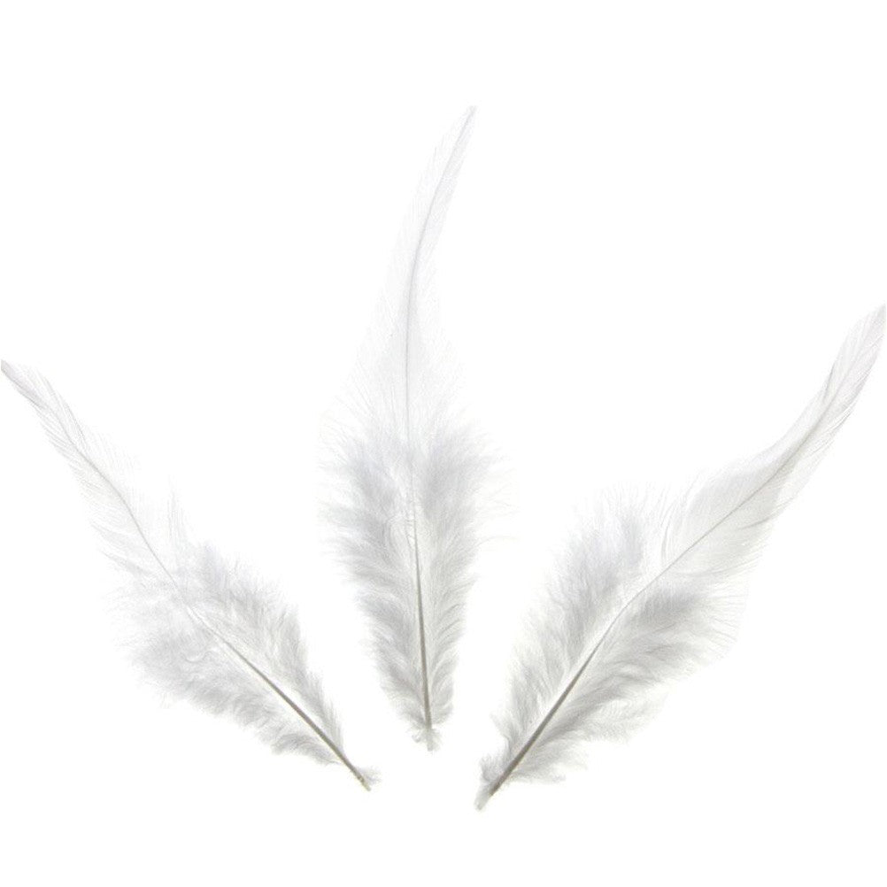 Plume d'autruche colorée GM (20 pièces)