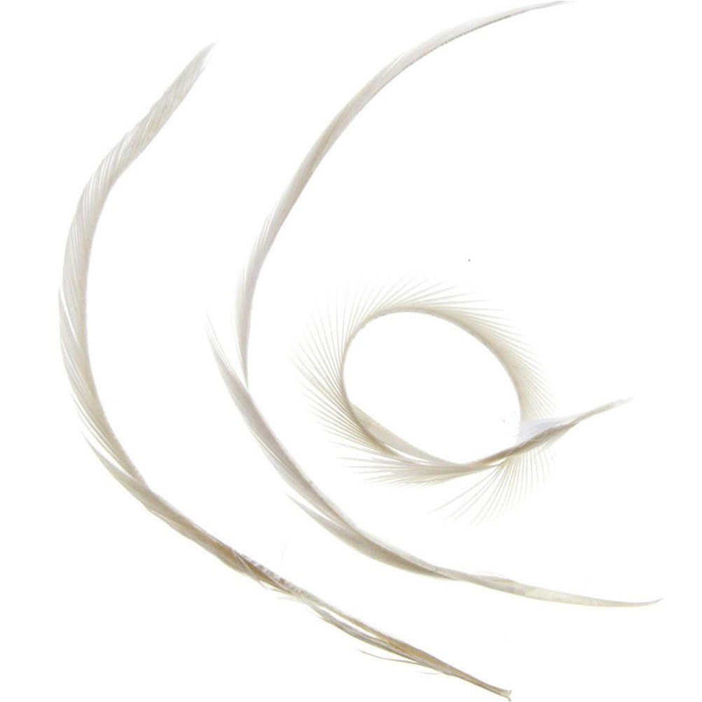 Plumes pour bijoux colorée (20 pièces)