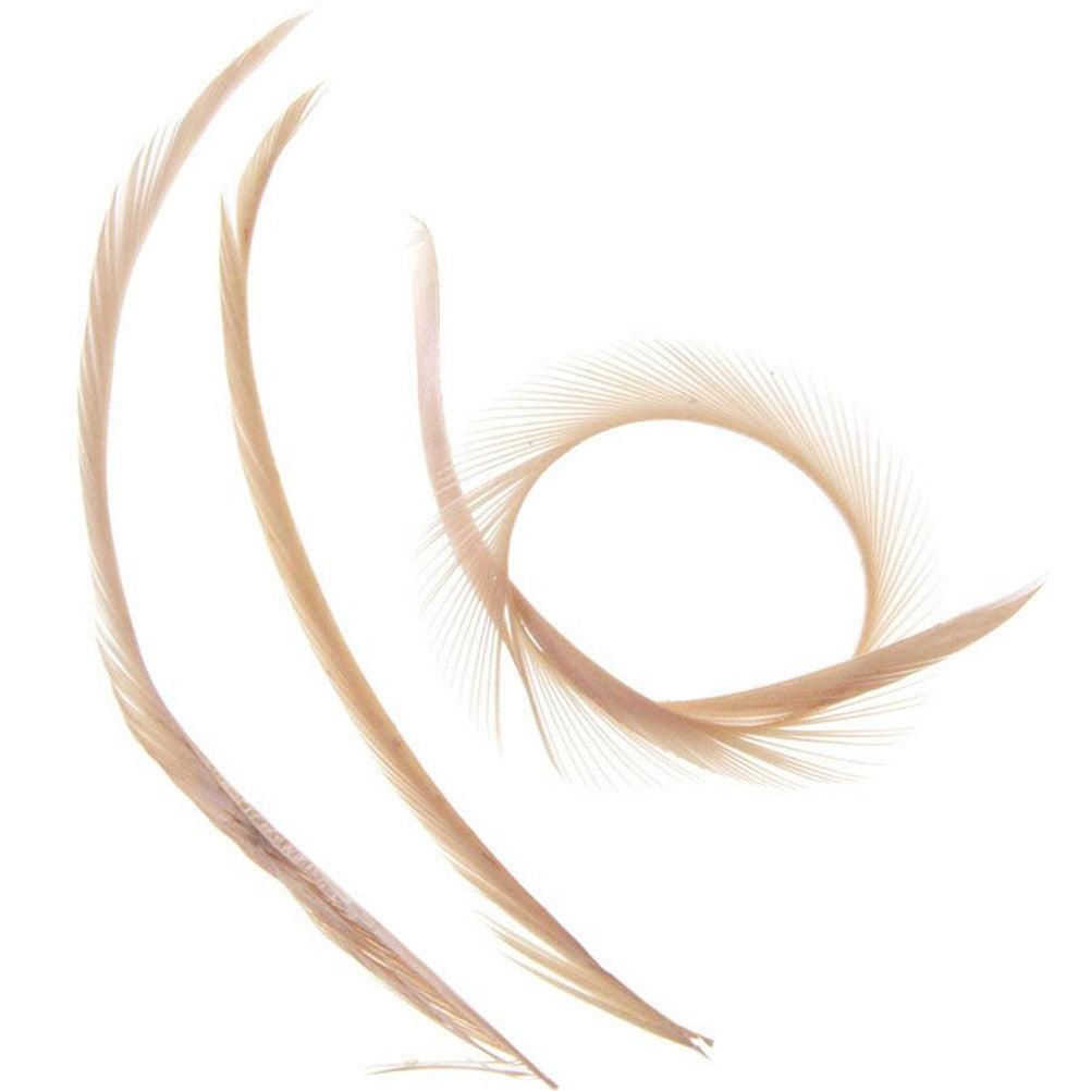 Plumes pour bijoux colorée (20 pièces)