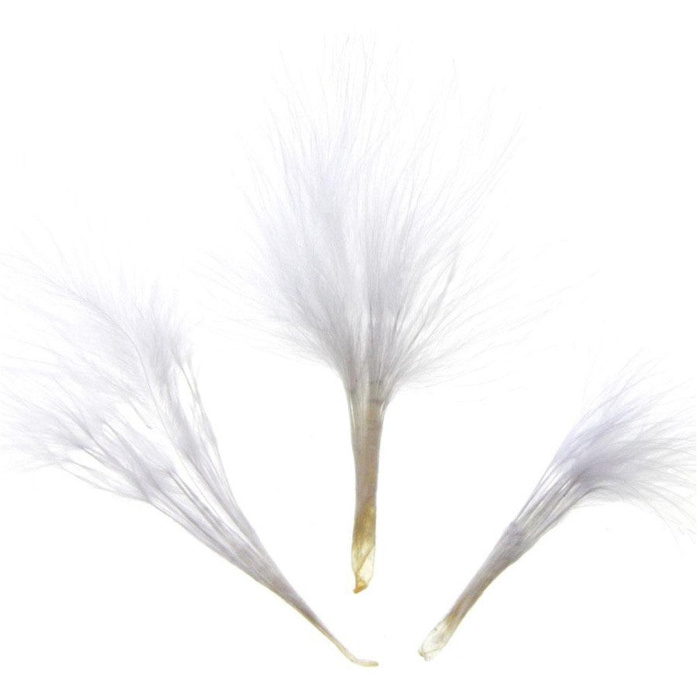 Plume d'autruche colorée (20 pièces)