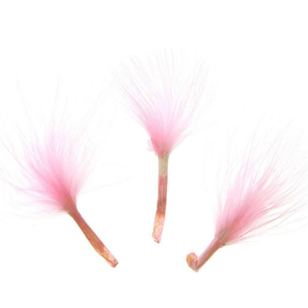 Plume d'autruche colorée (20 pièces)