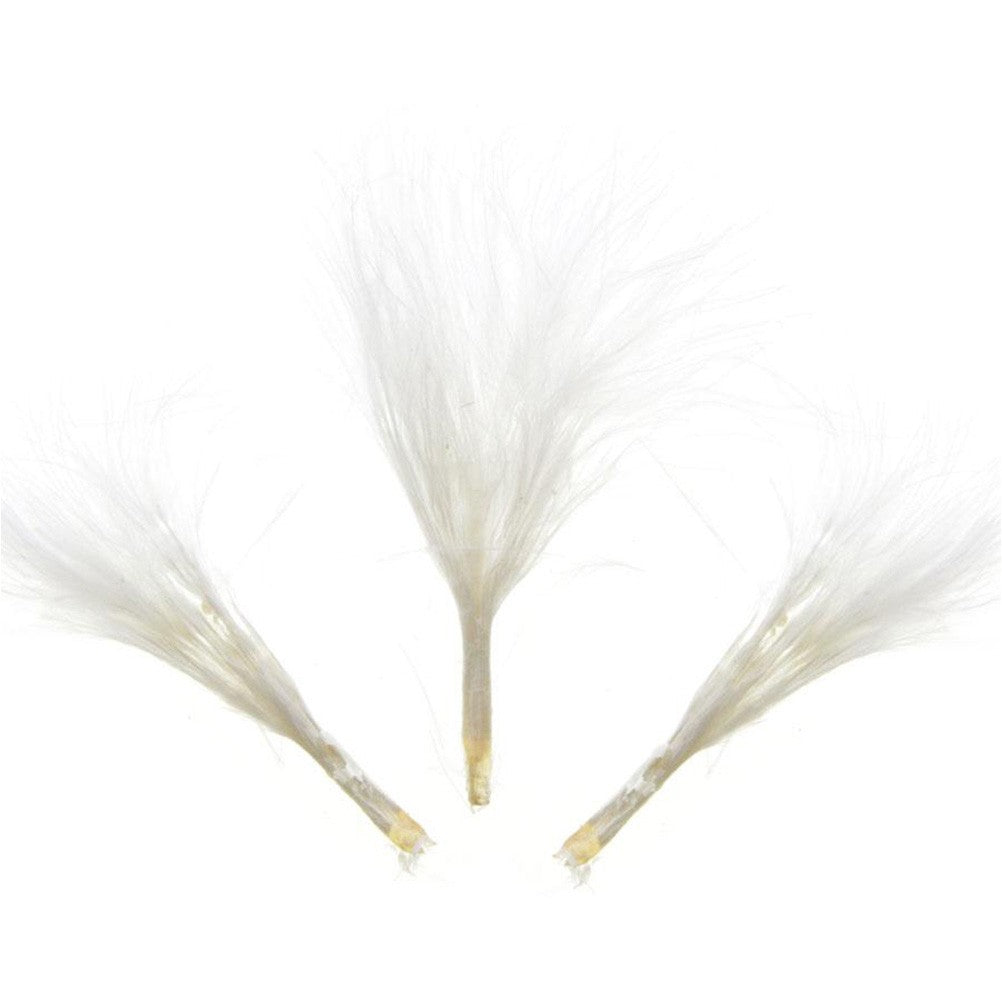 Plume d'autruche colorée (20 pièces)