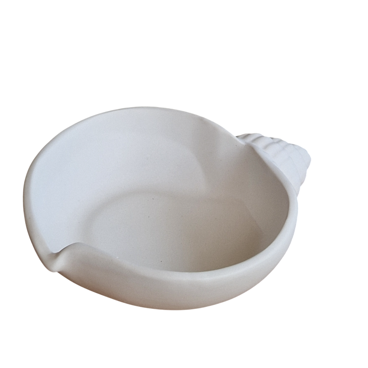 ✨ Coupelle décorative coquillage en plâtre céramique – Élégance & esprit bord de mer