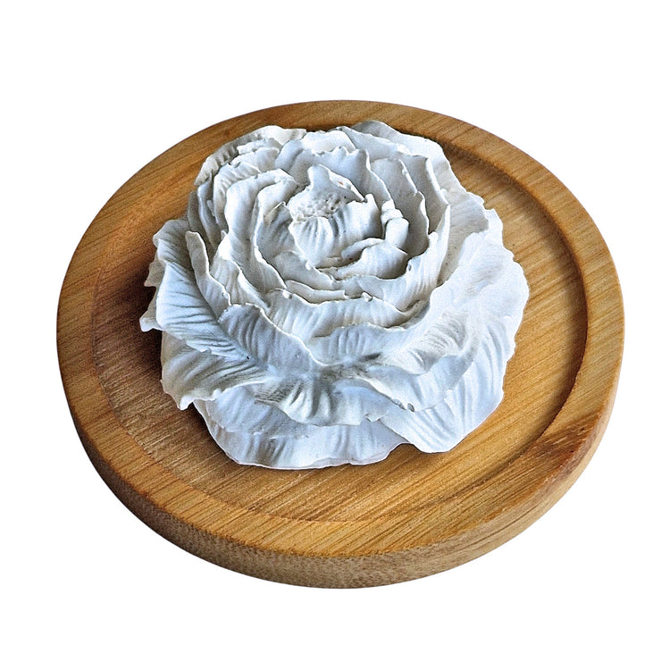 Diffuseurs de parfum