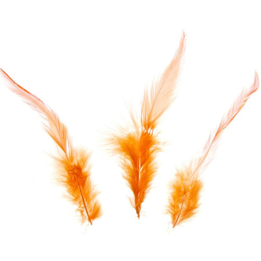 Plume d'autruche colorée GM (20 pièces)