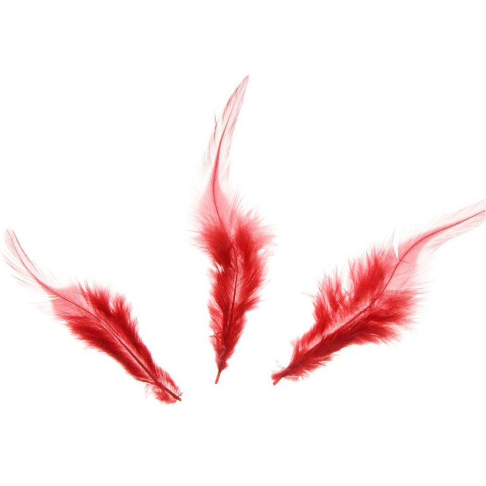 Plume d'autruche colorée GM (20 pièces)