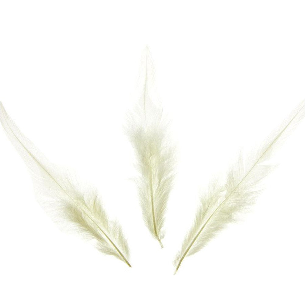 Plume d'autruche colorée GM (20 pièces)