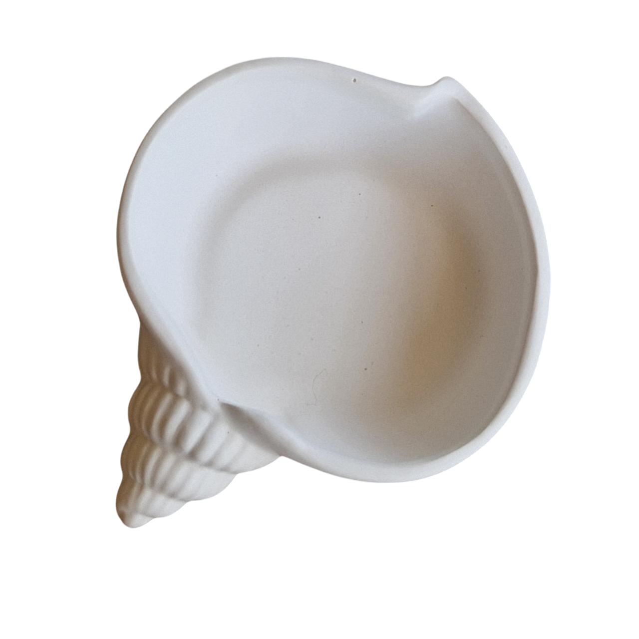 ✨ Coupelle décorative coquillage en plâtre céramique – Élégance & esprit bord de mer
