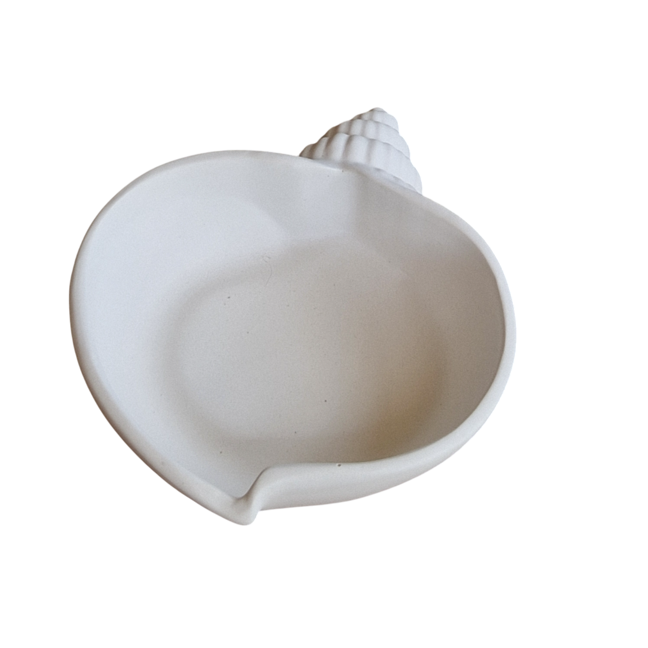 ✨ Coupelle décorative coquillage en plâtre céramique – Élégance & esprit bord de mer