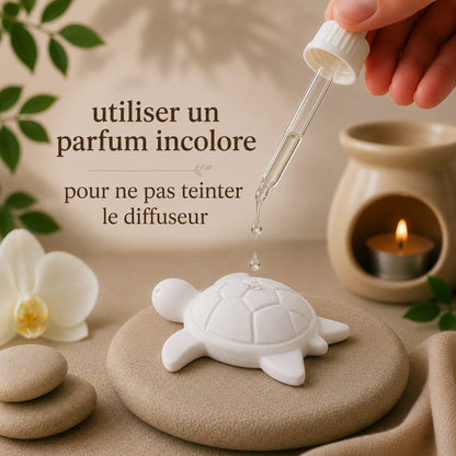 🐢 Lot de 4 diffuseurs de parfum – Tortues en plâtre céramique  Fabrication française • Création artisanale